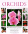 Orchids (New Plant Library)