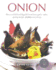 Onion: the Essential Cooks Guide to Onions, Garlic, Leeks, Spring Onions, Shallots and Chives