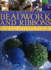 Beadwork and Ribbons: Easy-to-Make Accessories, Ornaments, Decorations, and Stunning Objects Using Simple Techniques Shown in Over 850 Step-By-Step Ph