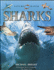 Nature Watch: Sharks