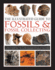 Fossils Fossil Collecting the Illustrat Format: Hardcover