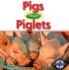 Pigs Have Piglets (Animals and Their Young)