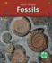 Fossils (Rocks and Minerals)
