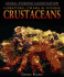 Lobsters, Crabs, & Other Crustaceans (Animal Kingdom Classification)