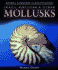 Snails, Shellfish, and Other Mollusks (Animal Kingdom Classification)