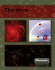 The Atom (Mission: Science)