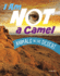 I Am Not a Camel: Animals in the Desert (What Animal Am I? )
