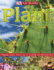Eye Wonder: Plant