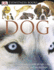 Dk Eyewitness Books: Dog