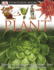 Dk Eyewitness Books: Plant