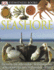 Seashore (Eyewitness Explorers)