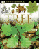 Dk Eyewitness Books: Tree