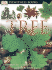 Tree (Eyewitness)