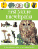 First Nature Encyclopedia (Dk First Reference)