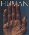 Human: the Definitive Visual Guide