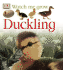 Duckling (Watch Me Grow)
