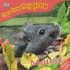 The Mouse (Animal Life Stories)