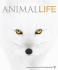 Animal Life: Secrets of the Animal World Revealed
