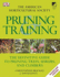 Pruning and Training, Revised New Edition: What, When, and How to Prune