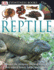 Dk Eyewitness Books: Reptile