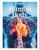 Human Body: a Visual Encyclopedia (Dk Children's Visual Encyclopedias)