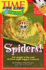 Spiders (Time for Kids Science Scoops)