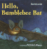 Hello, Bumblebee Bat