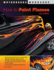How to Paint Flames: Second Edition (Motorbooks Workshop)