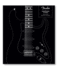 Fender Stratocaster 70 Years Format: Hardback