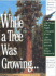 While a Tree Was Growing