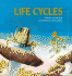 Life Cycles