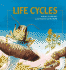 Life Cycles
