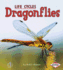 Dragonflies (First Step Nonfiction-Animal Life Cycles)