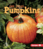 Pumpkins (First Step Nonfiction-Plant Life Cycles)