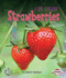 Strawberries Format: Paperback