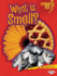 What is Smell? (Lightning Bolt Books)