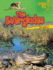 The Everglades (Lightning Bolt Books �? Famous Places)