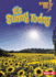 It's Sunny Today (Lightning Bolt Books �-What's the Weather Like? )