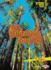 The Redwood Forests (Lightning Bolt Books �-Famous Places)