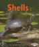 Shells (First Step Nonfiction)