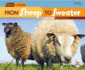 From Sheep to Sweater (Start to Finish, Second Series)