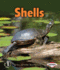 Shells (First Step Nonfiction? Body Coverings)