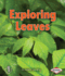 Exploring Leaves (First Step Nonfiction? Let's Look at Plants)