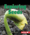 Exploring Seeds (First Step Nonfiction: Let's Look at Plants)