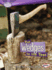 Put Wedges to the Test (Searchlight Books �? How Do Simple Machines Work? )