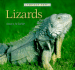 Lizards (Perfect Pets)