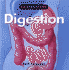 Digestive System (Kaleidoscope: Human Body)