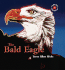 The Bald Eagle