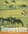 Tennessee