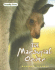 The Marsupial Order